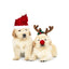 Holiday Pet Accessories Set – Festive Hats, Scarves & Bowties for Dogs