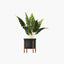 Verdant Aura Potted Indoor Plant Set