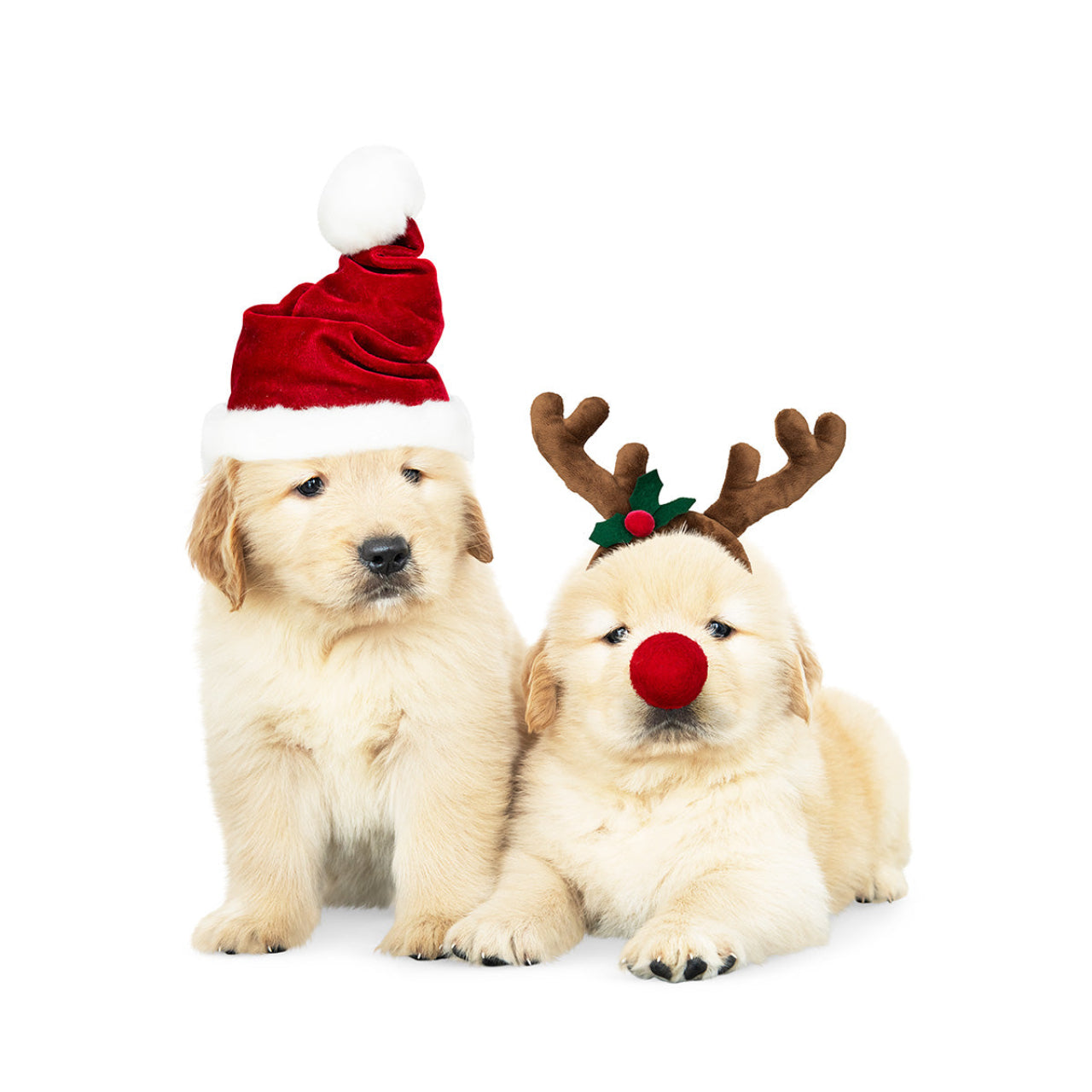 Holiday Pet Accessories Set – Festive Hats, Scarves & Bowties for Dogs Main image