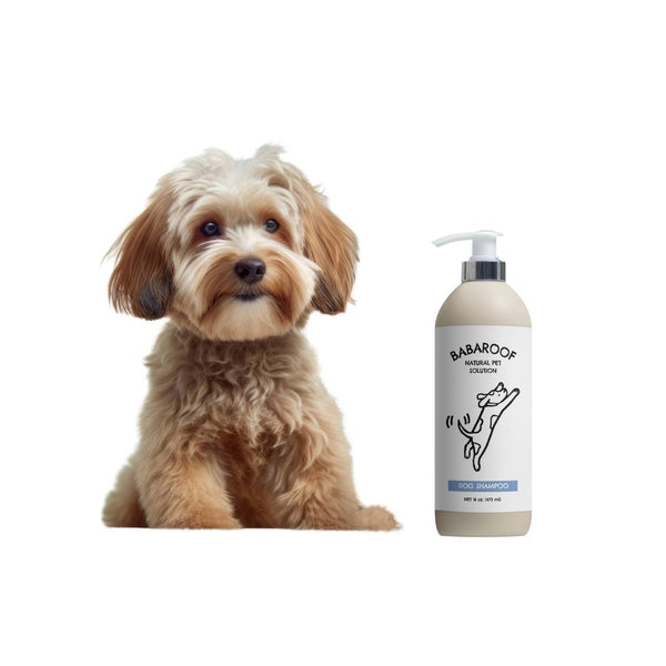 Gentle Pet Shampoo – Nourishing & Hypoallergenic Formula for Dogs and Cats