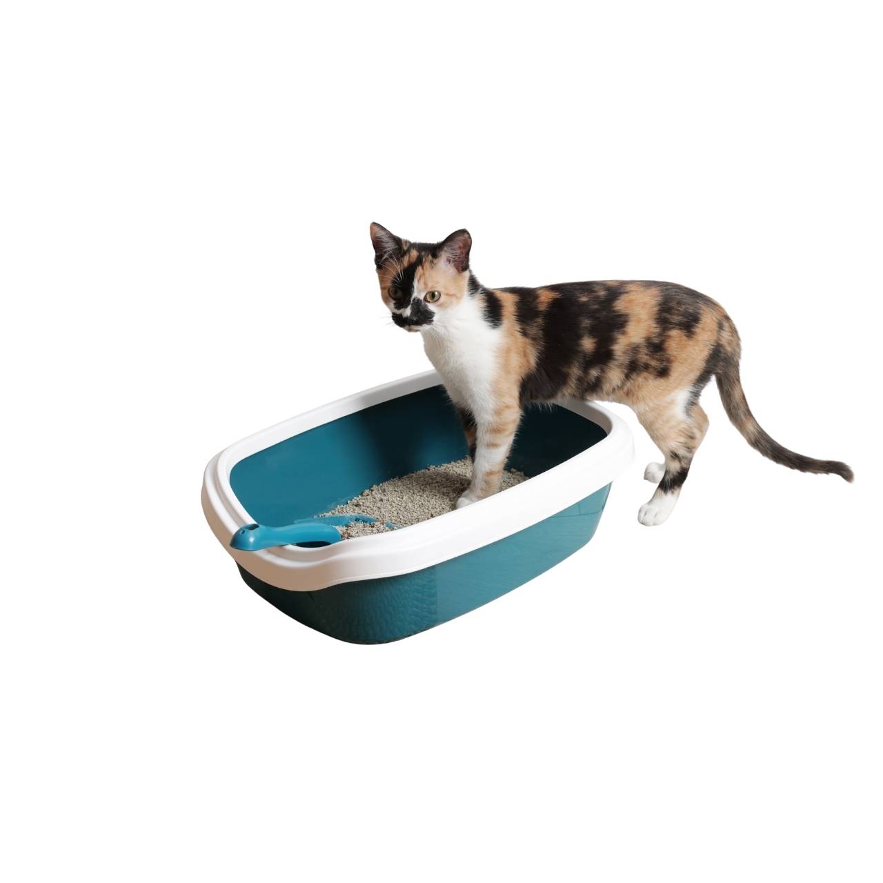 Open Cat Litter Box with Scoop – Easy Clean & Spacious Design