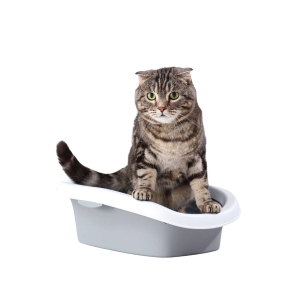 Open Cat Litter Box with Scoop – Easy Clean & Spacious Design