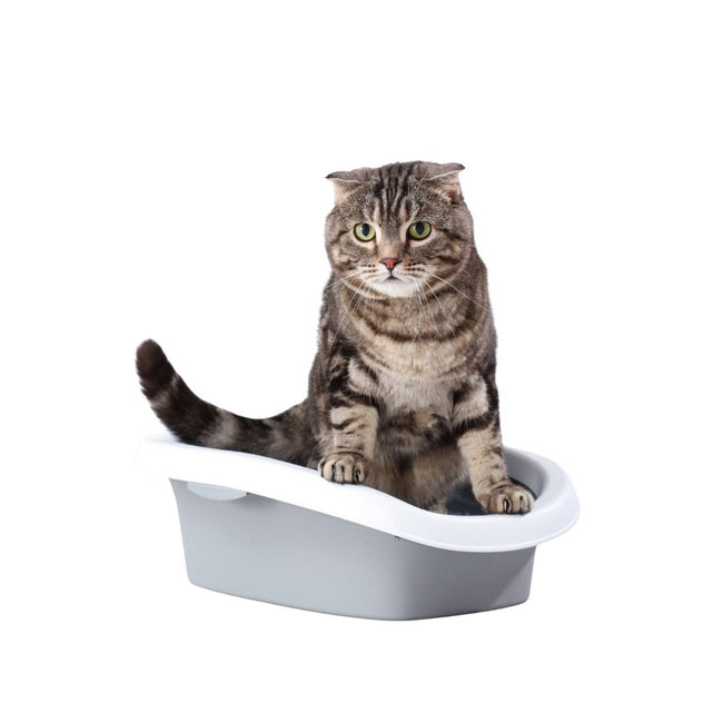 Open Cat Litter Box with Scoop – Easy Clean & Spacious Design Main Image