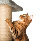 Multi-Level Cat Tree Tower with Scratching Posts & Cozy Condo