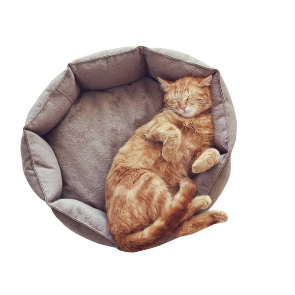 Plush Round Cat Bed – Soft, Cozy & Supportive Design