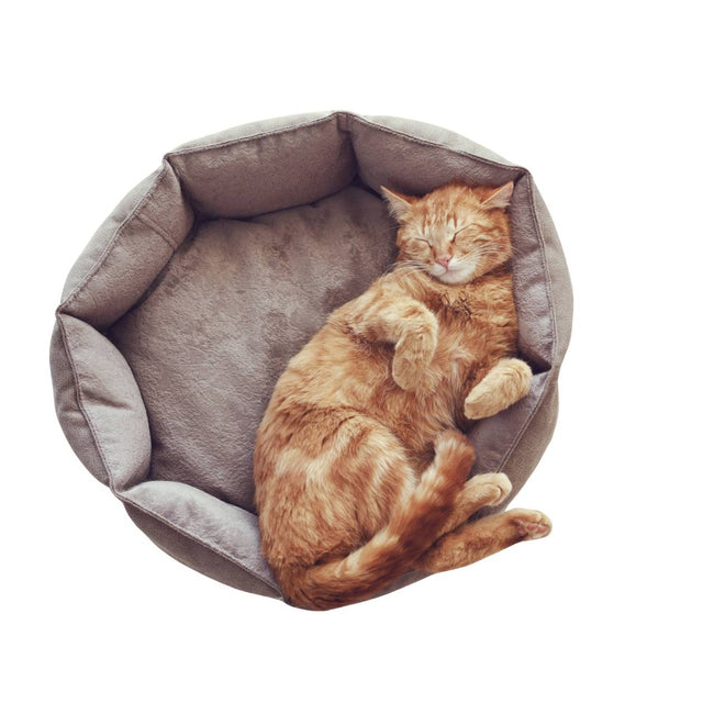 Plush Round Cat Bed – Soft, Cozy & Supportive Design Main Image