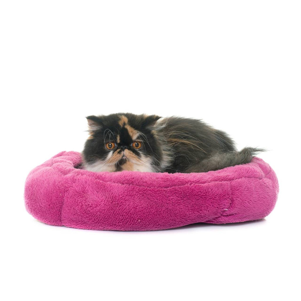 Plush Round Cat Bed – Soft, Cozy & Supportive Design