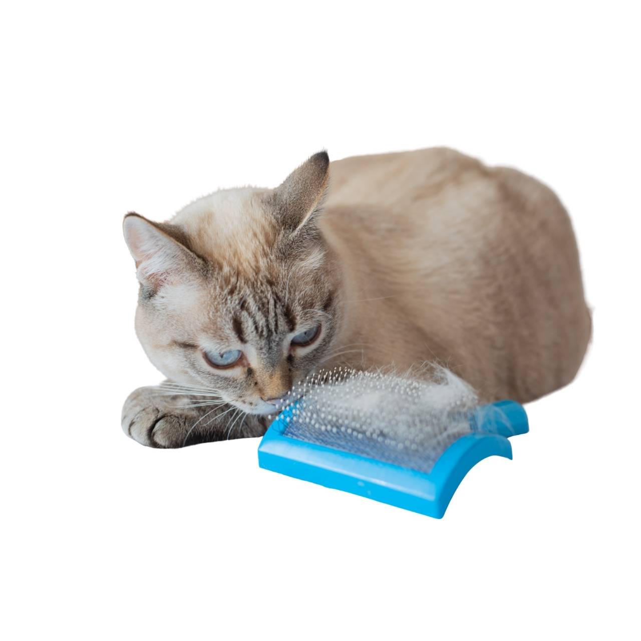 Self-Cleaning Pet Slicker Brush – For Shedding & Grooming Main image