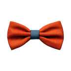 Dapper Pet Bow Tie Collar – Adjustable & Stylish