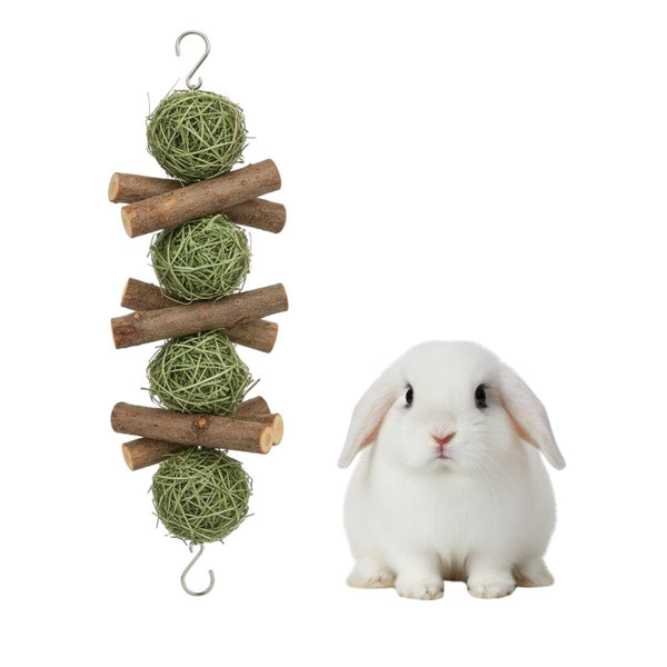 Natural Chew Fun - Hanging Toy for Dental Health & Play