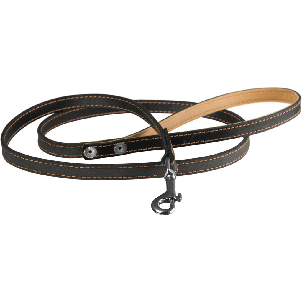 Adjustable Nylon Dog Leash – Durable & Comfortable for Daily Walks