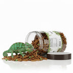 Of course. Here is a product description for the Reptile Food Mix, based on the images provided and following the established structure.  Product Name: