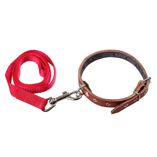 Adjustable Nylon Dog Leash – Durable & Comfortable for Daily Walks Hover Image