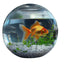 Desktop Glass Aquarium & Fish Bowl - For Bettas & Aquascaping