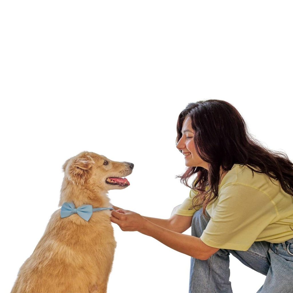 Holiday Pet Accessories Set – Festive Hats, Scarves & Bowties for Dogs