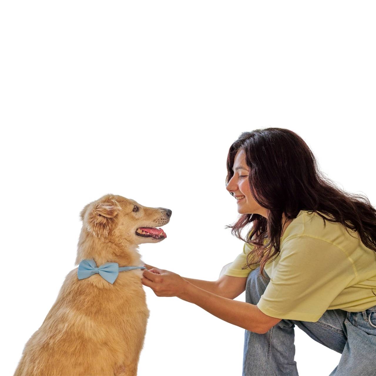 Holiday Pet Accessories Set – Festive Hats, Scarves & Bowties for Dogs