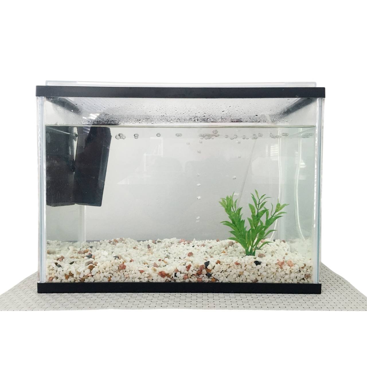 Desktop Glass Aquarium & Fish Bowl - For Bettas & Aquascaping