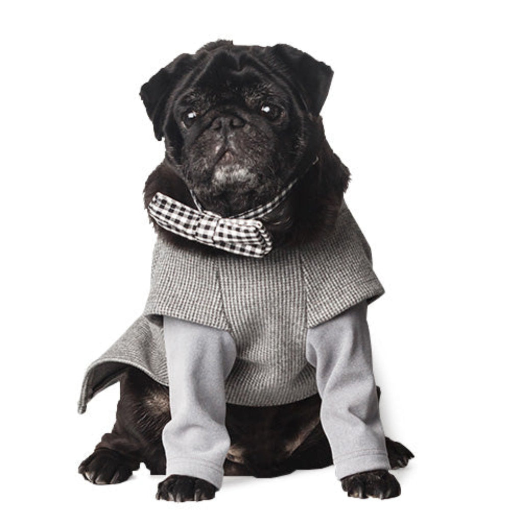 Holiday Pet Accessories Set – Festive Hats, Scarves & Bowties for Dogs