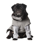 Holiday Pet Accessories Set – Festive Hats, Scarves & Bowties for Dogs