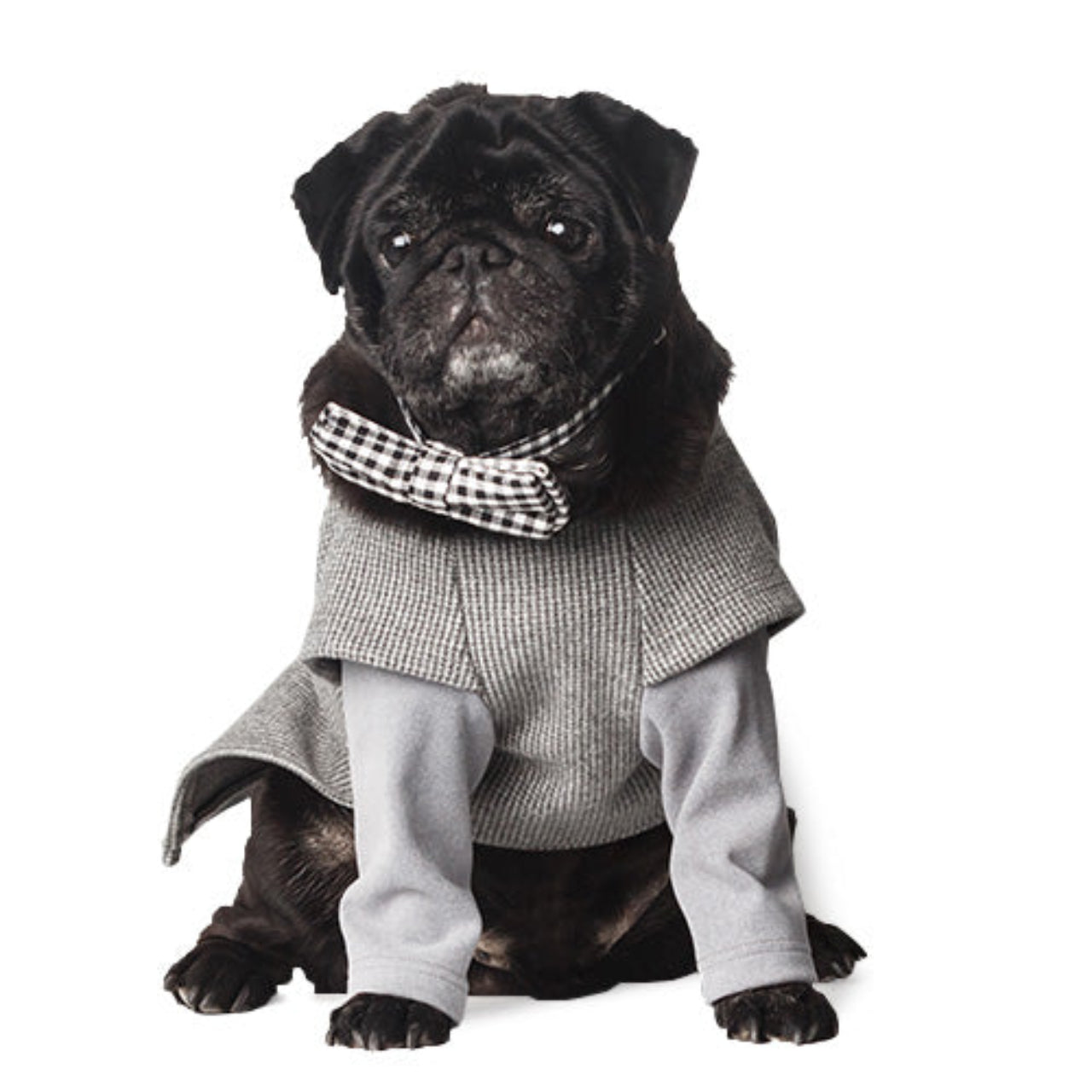 Holiday Pet Accessories Set – Festive Hats, Scarves & Bowties for Dogs