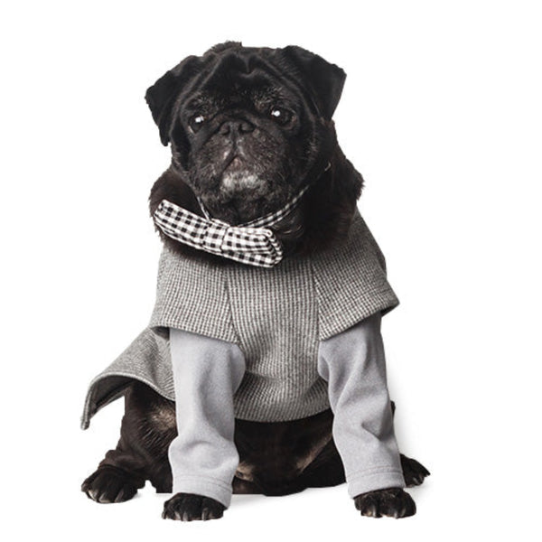 Holiday Pet Accessories Set – Festive Hats, Scarves & Bowties for Dogs