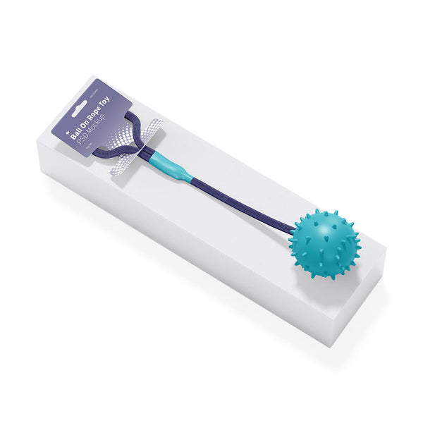 Pet Grooming Comb Set – Anti-Flea & Detangling Brush