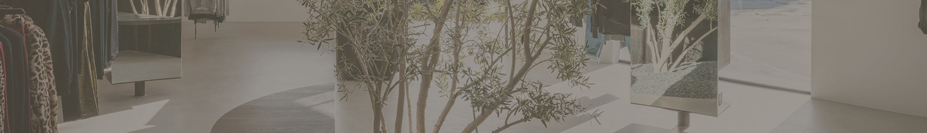 Artistic depiction of a tree with a minimal background