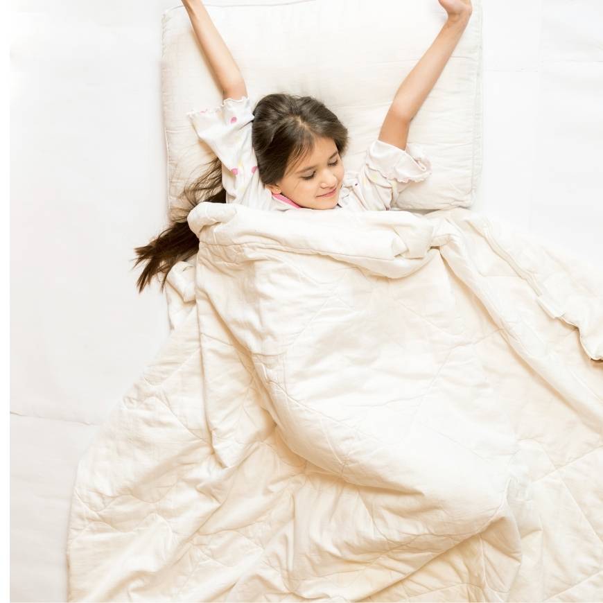 UltraSoft All-Season Comforter