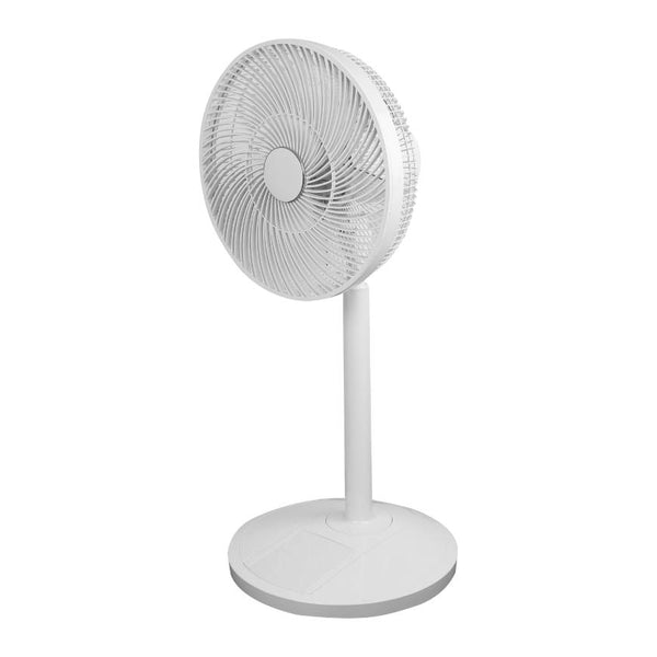 BreezeMax Pedestal Fan