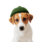 Cozy Cub Pet Beanie - StepByStep