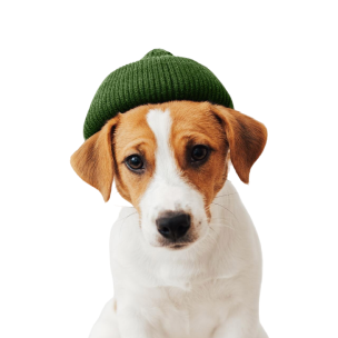 Cozy Cub Pet Beanie - StepByStep