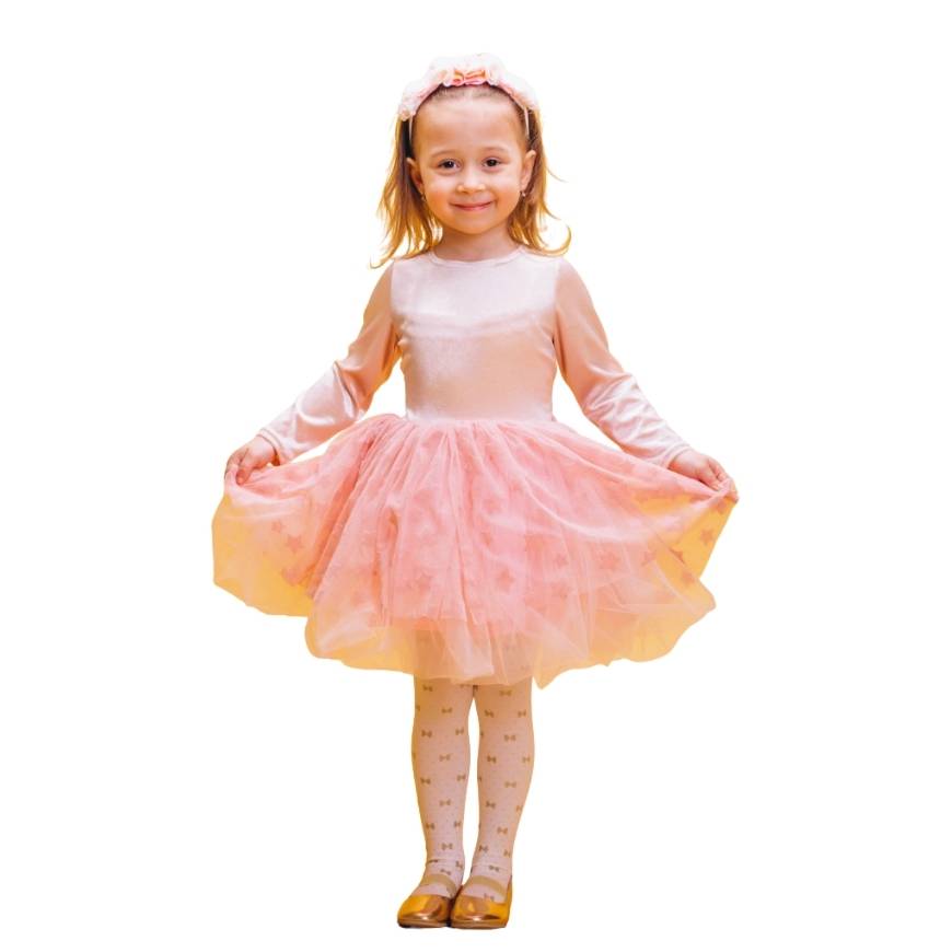 Princess Lace Tulle Dress for Girls