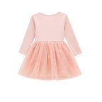 Princess Lace Tulle Dress for Girls