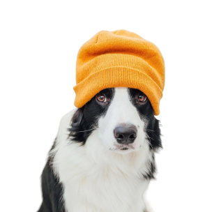 Cozy Cub Pet Beanie - StepByStep