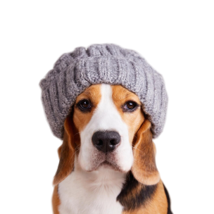 Cozy Cub Pet Beanie - StepByStep