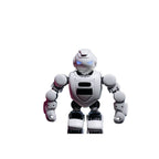 Smart Interactive Robot