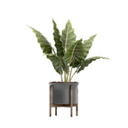 Decorative Indoor Potted Plant Collection