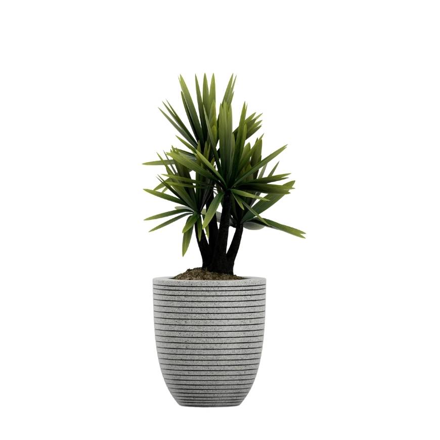 Decorative Indoor Potted Plant Collection