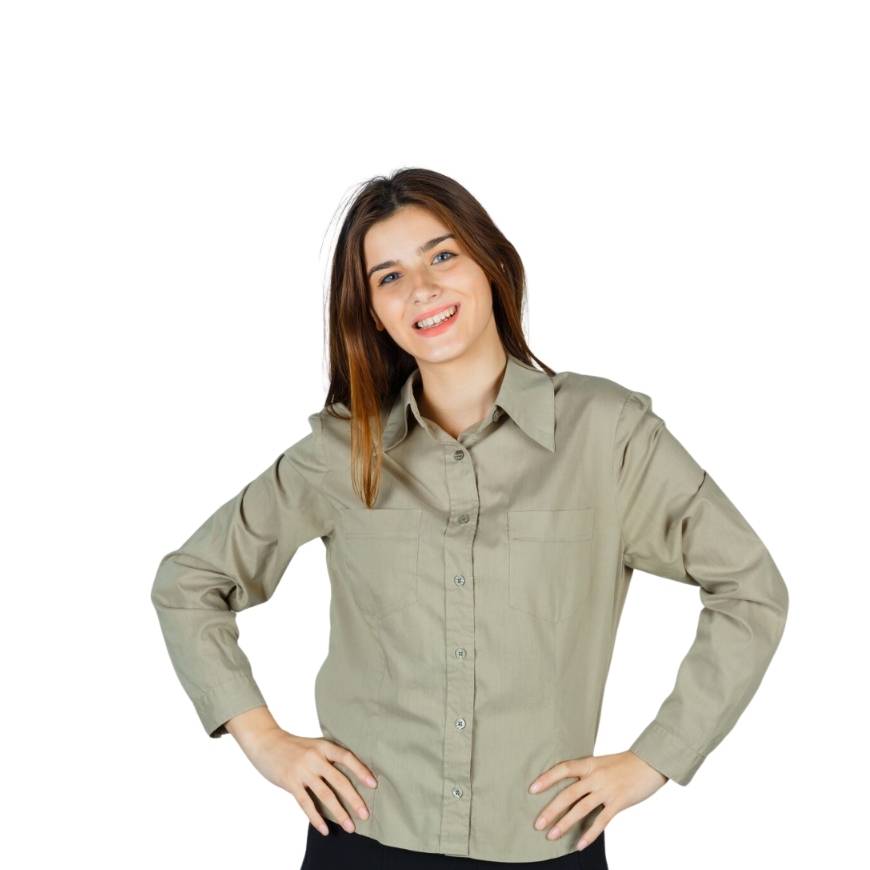 Essential Cotton Office Shirt